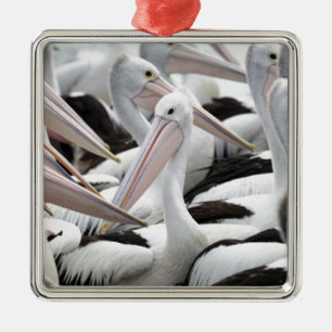 Ornamento De Metal Pelican Pod