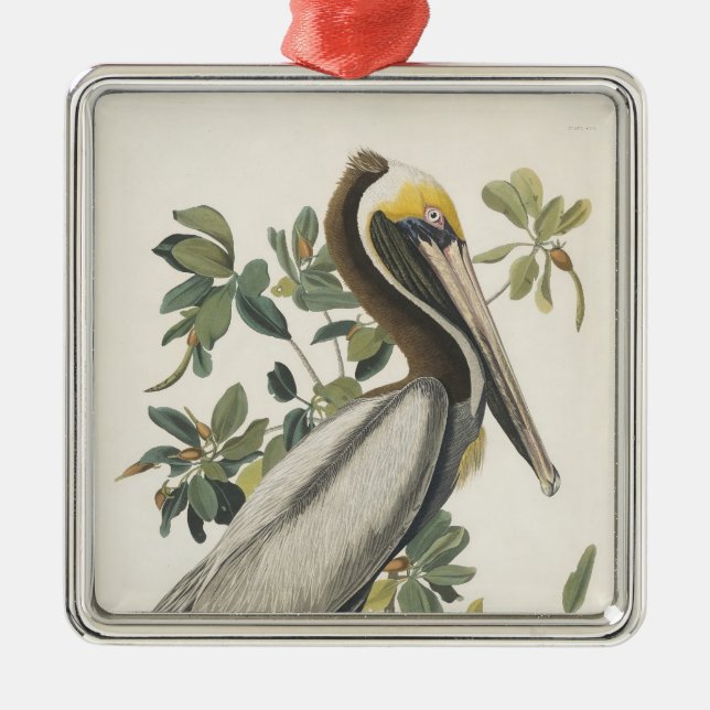 Ornamento De Metal Pelicano do Brown de Audubon (Frente)