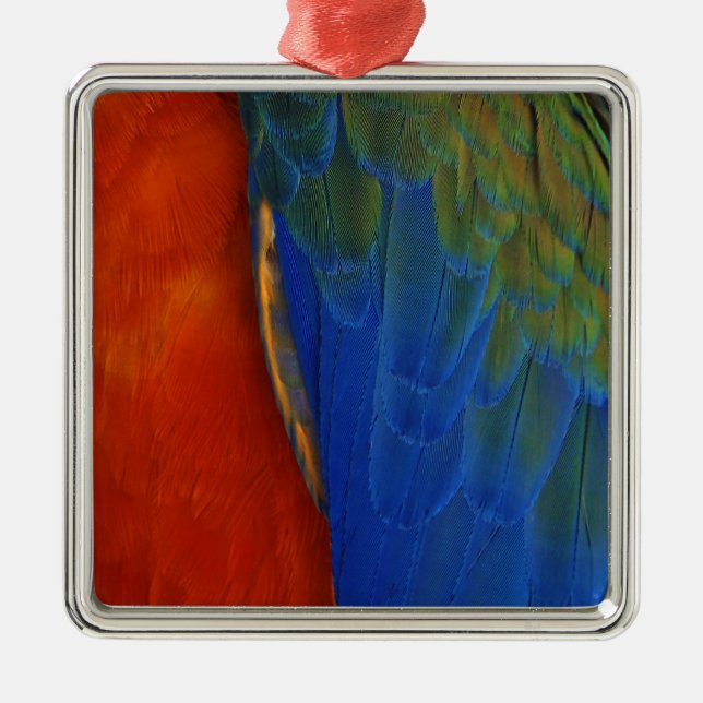 Ornamento De Metal Penas de Macaw (Frente)