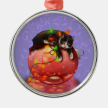 Pequena Mágica de inverno para as luzes de gato