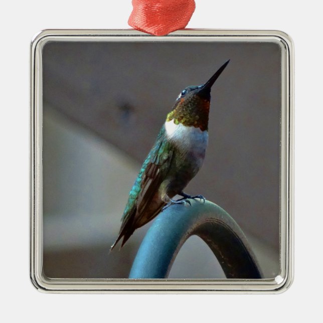 Ornamento De Metal Pequeno beija-flor (Frente)