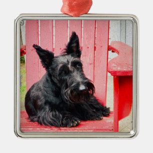 Ornamento De Metal Pequeno Scottie numa Cadeira Vermelha Grande
