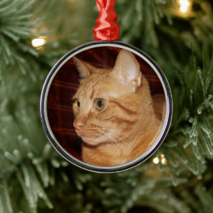 Ornamento De Metal Perfil do rosto do gato de mesa laranja