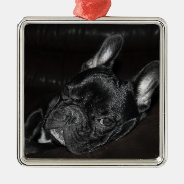 Ornamento De Metal Personalização de Metal para Bulldog Francês (Frente)