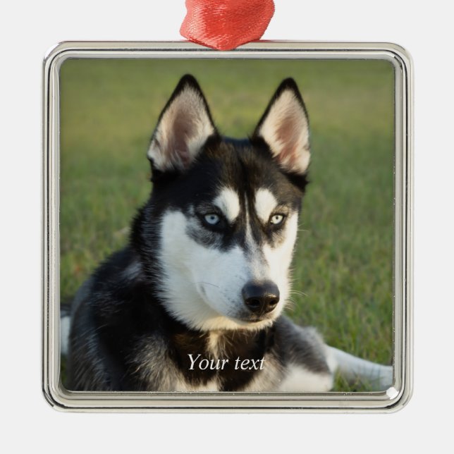 Ornamento De Metal Personalize o retrato do filhote siberiano Husky (Frente)