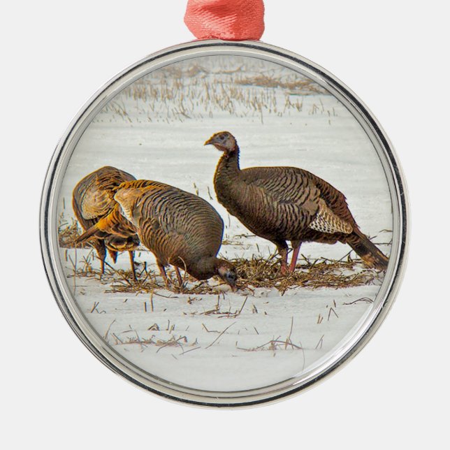 Ornamento De Metal Perus selvagens na neve (Frente)