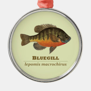 Ornamento De Metal Pesca da maré azul