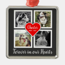 Ornamento De Metal Pet Memorial Ornament com Quatro Fotografias e Det