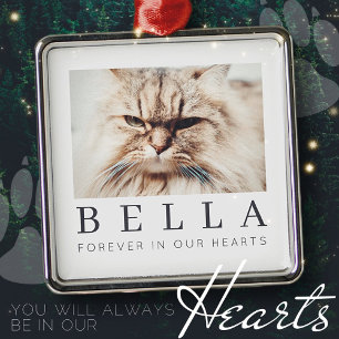 Ornamento De Metal Pet Memorial Simple Modern Chic Family Foto