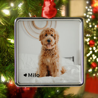 Ornamento De Metal Pet Personalizado de Foto e Nome