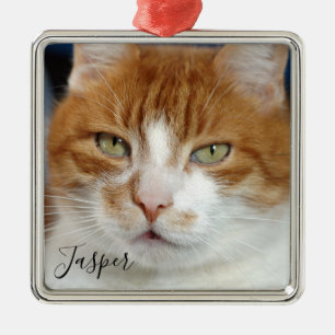 Ornamento De Metal Pet Photo Name Christmas