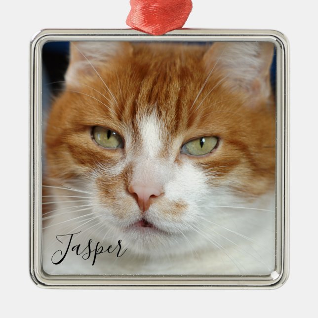 Ornamento De Metal Pet Photo Name Christmas (Frente)