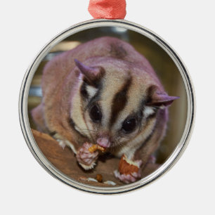Ornamento De Metal Pet Sugar Glider