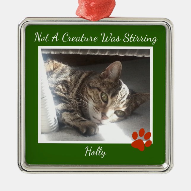 Ornamento De Metal Pets De Pele (Frente)