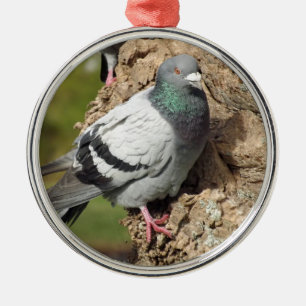 Ornamento De Metal Pigeon Ornament