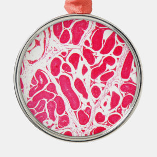 Ornamento De Metal Pilhas do testículo sob o microscópio