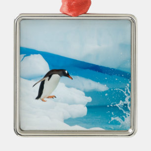 Ornamento De Metal pinguim-gentoo, Pygoscelis Papua, saltando