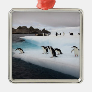 Ornamento De Metal Pinguins Chinstrap