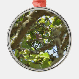 Ornamento De Metal Pintassilgo-real