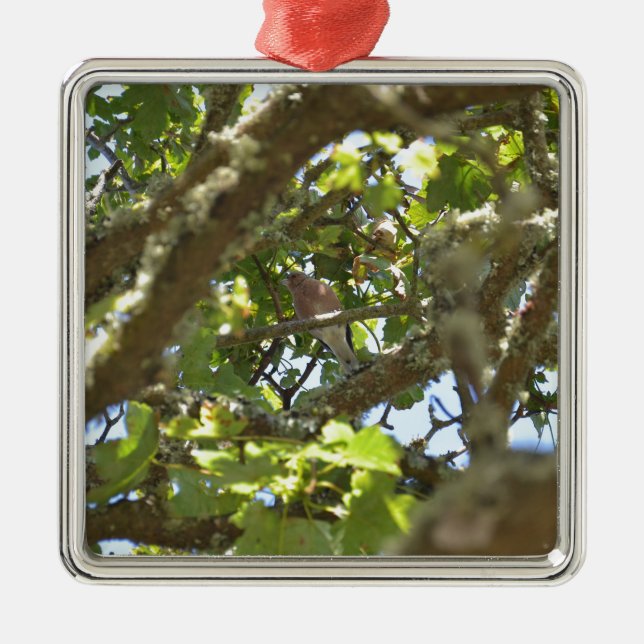 Ornamento De Metal Pintassilgo-real (Frente)