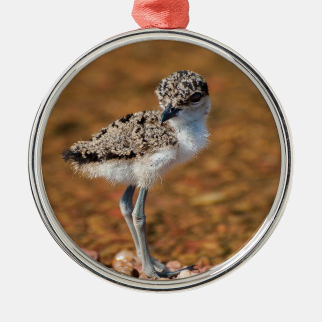 Ornamento De Metal Pintinho para laptop (Frente)