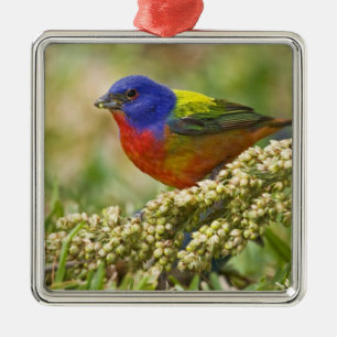 Ornamento De Metal Pintor