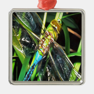 Ornamento De Metal Pintura de Asas Azuis-Dragonfly