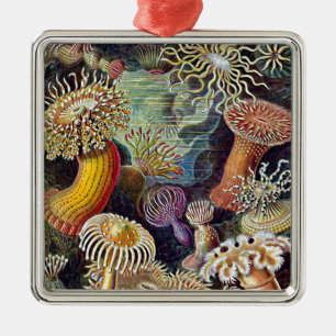Ornamento De Metal Pintura do Oceano Anêmico do Mar de Haeckel