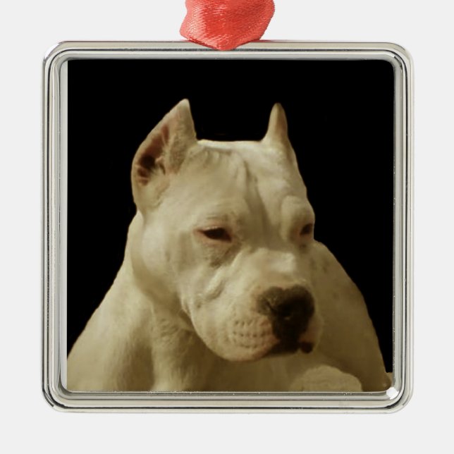 Ornamento De Metal Pitbull Branco Terrier (Frente)
