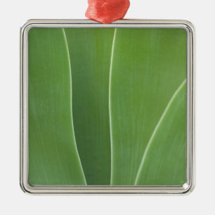 Ornamento De Metal Planta Agave Close Up