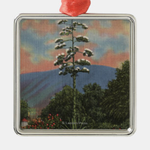 Ornamento De Metal Planta de CaliforniaCentury na flor