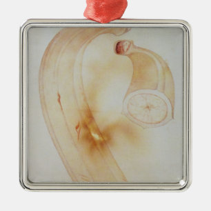 Ornamento De Metal Plantain do chifre