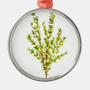 Ornamento De Metal Plantas aromáticas por tomilho