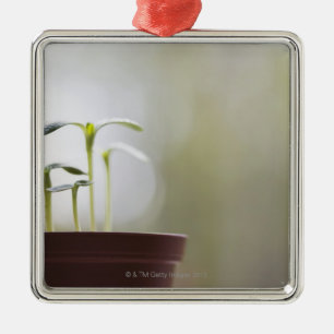 Ornamento De Metal Plantas do girassol que sprouting no pote 2