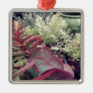 Ornamento De Metal Plantas Suculentas