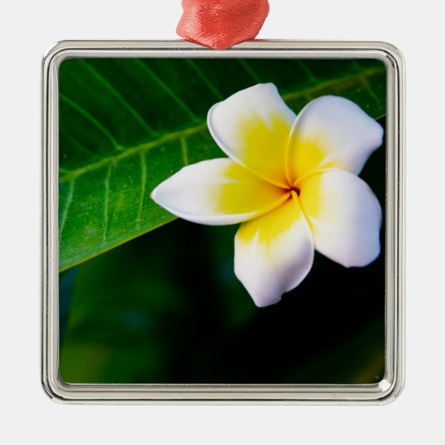 Ornamento De Metal Plumeria (Frente)