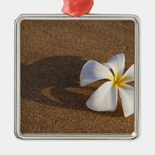 Ornamento De Metal Plumeria em praia arenosa, Maui, Havaí, EUA