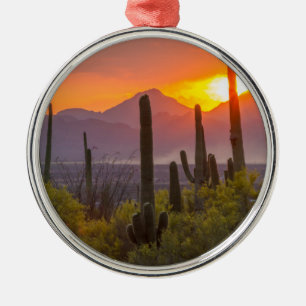 Ornamento De Metal Pôr do sol no cacto do deserto, Arizona