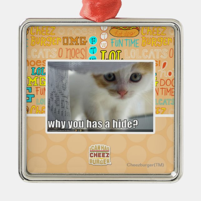 Ornamento De Metal Por que você tem um couro cru? (Frente)