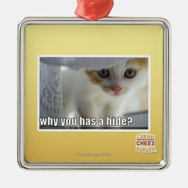 Ornamento De Metal Por que você tem um couro cru? (Frente)