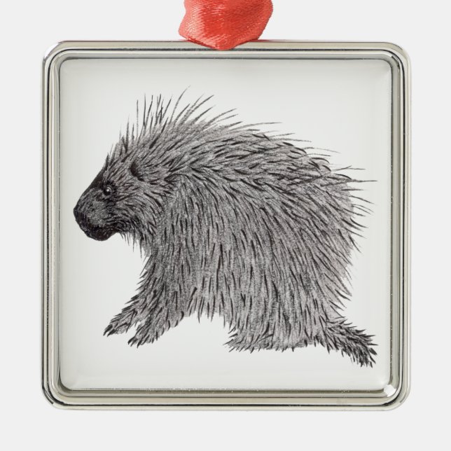 Ornamento De Metal Porcupine (Frente)