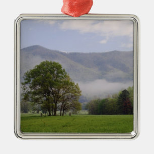 Ornamento De Metal Prado enevoado e Rich Mountain, Cades Cove,