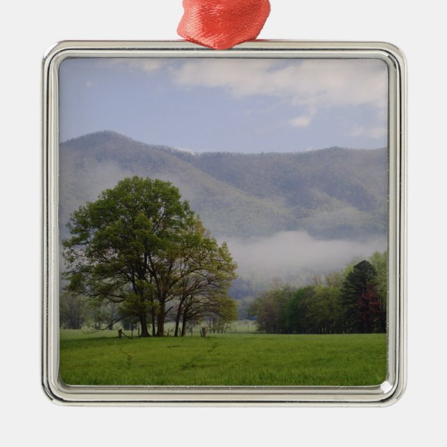 Ornamento De Metal Prado enevoado e Rich Mountain, Cades Cove, (Frente)