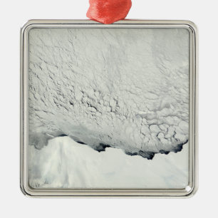 Ornamento De Metal Primavera adiantado no Antarctic