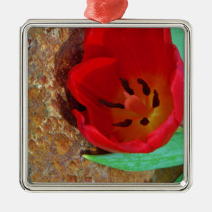 Ornamento De Metal Primavera amarelo e Red Tulip