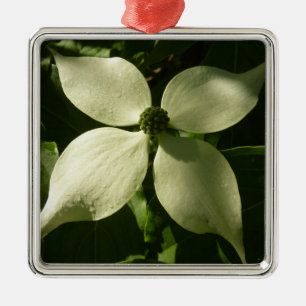 Ornamento De Metal Primavera branco da flor Sunlit do Dogwood floral