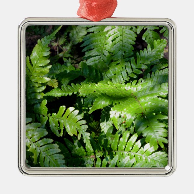 Ornamento De Metal Primavera Green Ferns boho botânico (Frente)