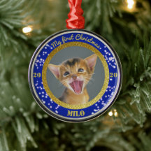 Primeira foto de Natal de Kitten Personalizado