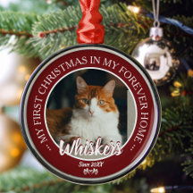 Primeiro Natal Casa Para Sempre Foto e Nome do Gat