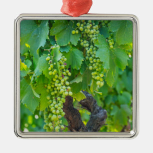 Ornamento De Metal Primeiro Plano De Uvas Maduras